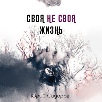 Обложка книги «Своя не своя жизнь»