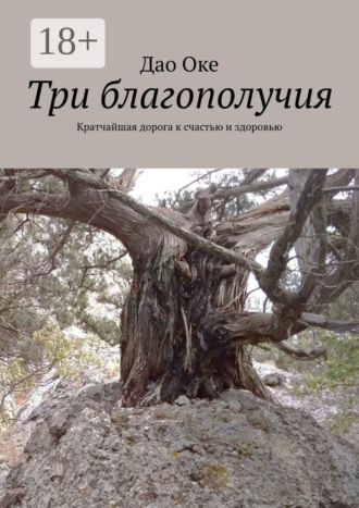 Обложка книги «Три благополучия. Кратчайшая дорога к счастью и здоровью»
