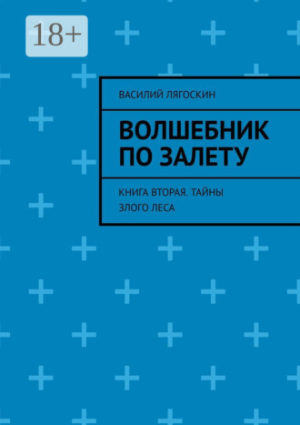 Обложка книги «Волшебник по залету. Книга вторая. Тайны Злого Леса»