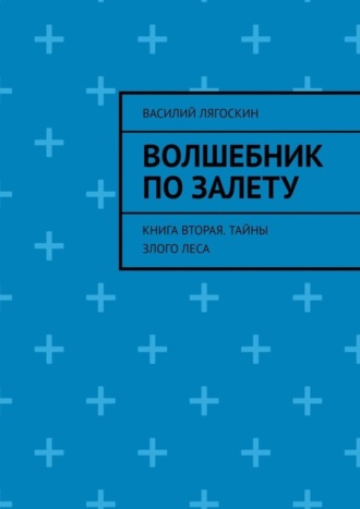 Василий Лягоскин. Волшебник по залету. Книга вторая. Тайны Злого Леса