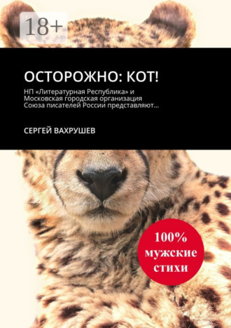 Обложка книги «Осторожно: кот!»
