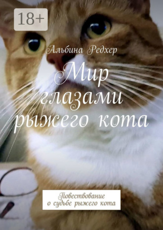 Обложка книги «Мир глазами рыжего кота. Повествование о судьбе рыжего кота»