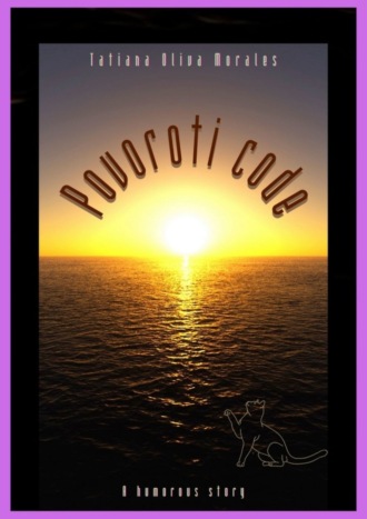 Обложка книги «Povoroti code. A humorous story»