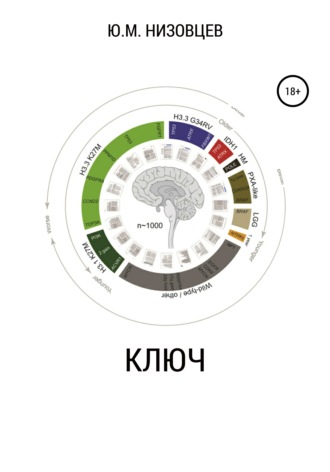 Обложка книги «Ключ»