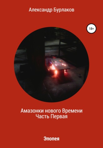 Обложка книги «Амазонки нашего Времени»
