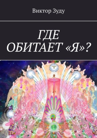 Обложка книги «Где обитает «Я»?»