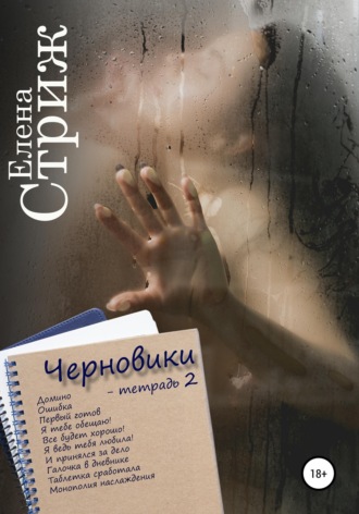 Обложка книги «Черновики. Тетрадь 2»