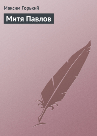 Обложка книги «Митя Павлов»