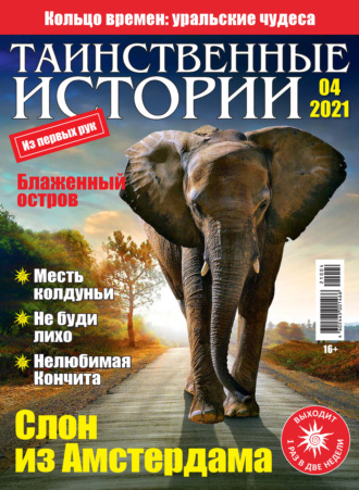 Обложка книги «Таинственные истории №04/2021»