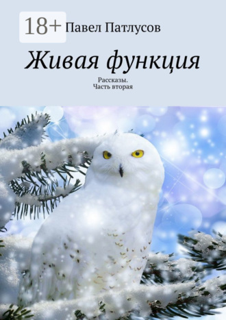 Обложка книги «Живая функция. Рассказы. Часть вторая»
