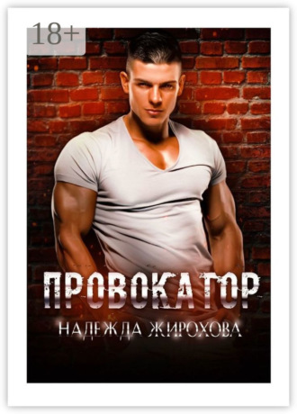 Обложка книги «Провокатор»
