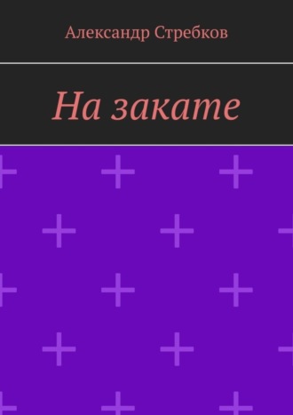 Александр Стребков. На закате