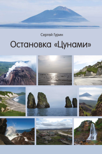 Сергей Гурин. Остановка «Цунами»