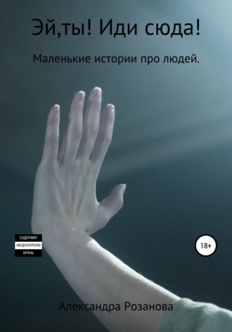 Обложка книги «Эй,ты! Иди сюда!»
