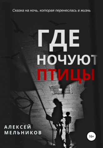 Обложка книги «Где ночуют птицы»