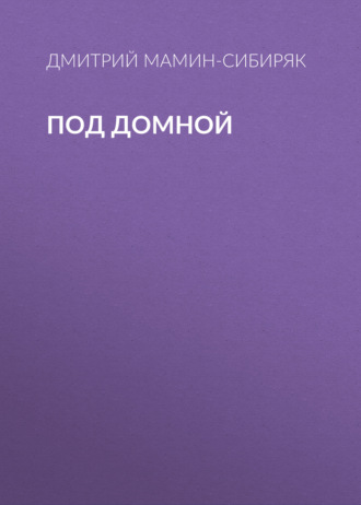Обложка книги «Под домной»