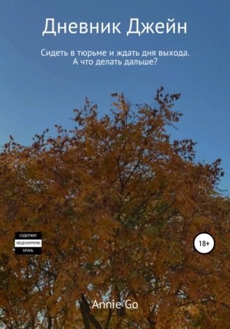 Обложка книги «Дневник Джейн»