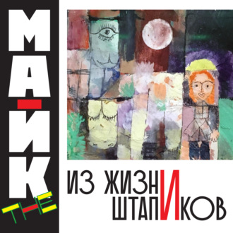 Обложка книги «Из жизни Штапиков»