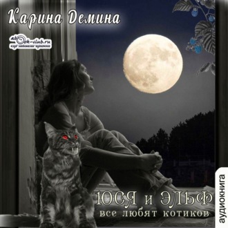 Обложка книги «Юся и Эльф»