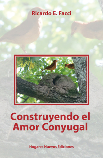 Ricardo E. Facci. Construyendo el amor conyugal