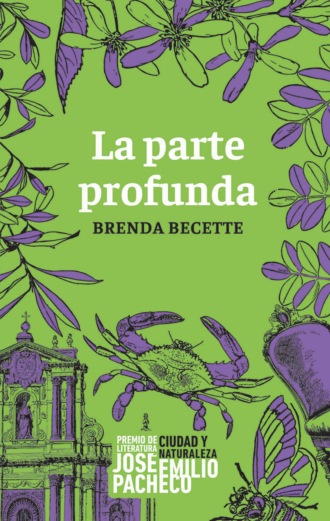 Brenda Sol Becette. La parte profunda