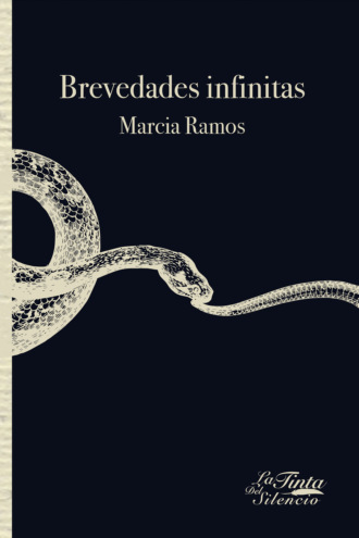 Marcia Ramos. Brevedades infinitas