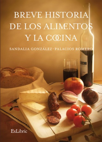 Sandalia Gonz?lez-Palacios Romero. Breve historia de los alimentos y la cocina