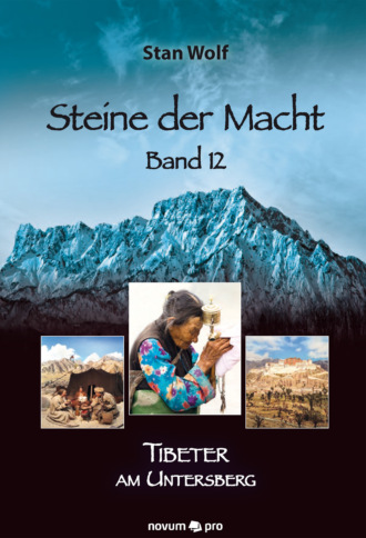 Stan Wolf. Steine der Macht – Band 12