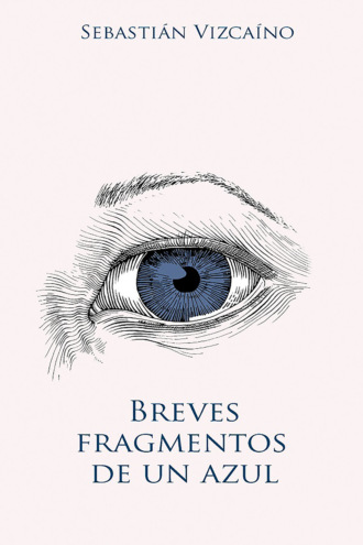 Sebasti?n Vizca?no. Breves fragmentos de un azul