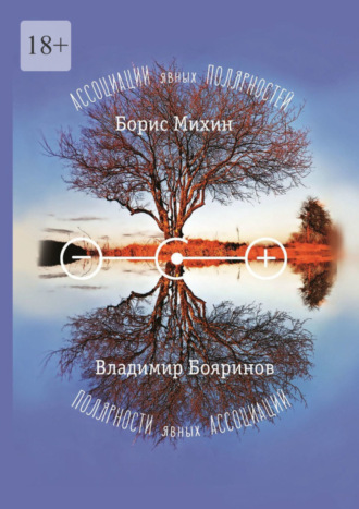 Борис Михин. Ассоциации явных полярностей. Полярности явных ассоциаций