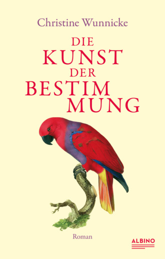 Christine Wunnicke. Die Kunst der Bestimmung