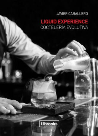 Javier Caballero. Liquid Experience. Cocteler?a evolutiva