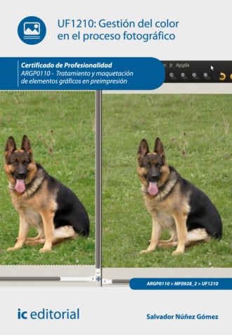 Salvador N??ez G?mez. Gesti?n del color en el proceso fotogr?fico. ARGP0110