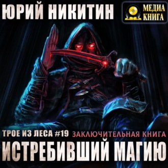 Обложка книги «Истребивший магию»