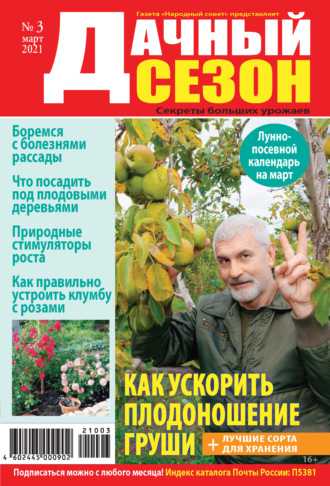 Обложка книги «Дачный сезон №03/2021»