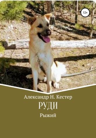 Обложка книги «Руди»