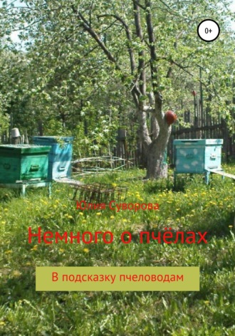 Обложка книги «Немного о пчёлах в подсказку пчеловодам»