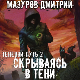 Обложка книги «Скрываясь в тени»