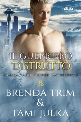 Обложка книги «Il Guerriero Distrutto»