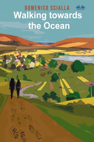 Обложка книги «Walking Towards The Ocean»