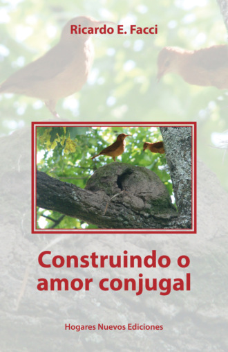 Ricardo E. Facci. Construindo o amor conjugal