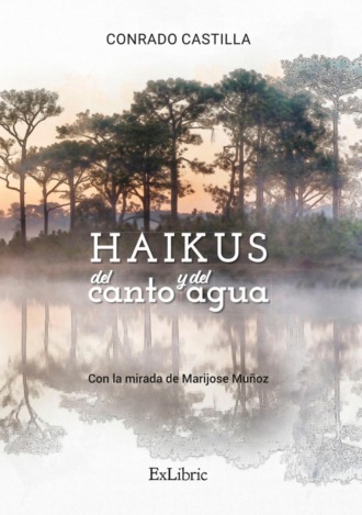 Conrado Castilla. Haikus del canto y del agua