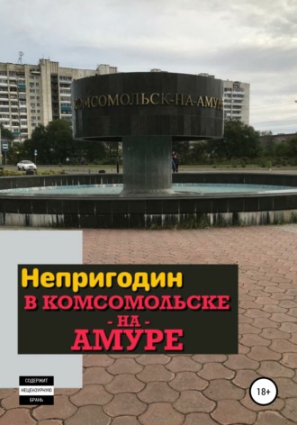 Обложка книги «Непригодин в Комсомольске-на-Амуре»