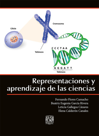 Fernando Flores Camacho. Representaciones y aprendizaje de las ciencias