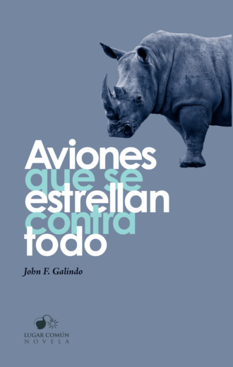 John F. Galindo. Aviones que se estrellan contra todo