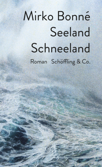 Mirko Bonn?. Seeland Schneeland