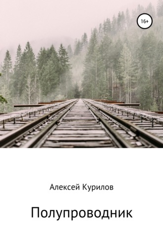 Обложка книги «Полупроводник»