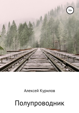 Алексей Курилов. Полупроводник