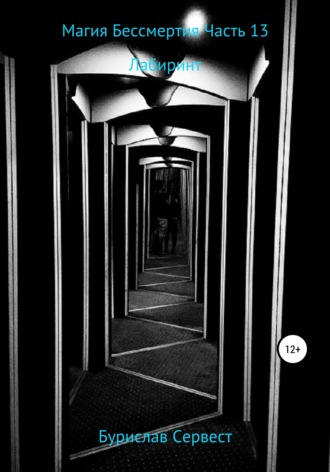 Обложка книги «Магия Бессмертия. Часть 13. Лабиринт»