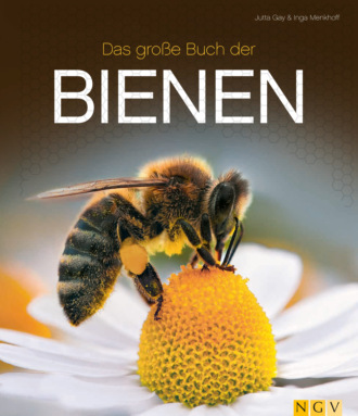 Jutta Gay. Das gro?e Buch der Bienen